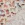 Katoen stof - poplin - digitaal honden - gebroken wit - 25/5183-002 - Katoen stof - poplin - digitaal honden - gebroken wit - 25/5183-002