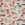 Katoen stof - poplin - digitaal honden - gebroken wit - 25/5183-002 - Katoen stof - poplin - digitaal honden - gebroken wit - 25/5183-002