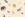 Waterdichte stof - digitaal dieren - beige - 25/22602-052 - Waterdichte stof - digitaal dieren - beige - 25/22602-052