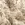 Hydrofiel stof - bloemen en vogels - taupe - 23266-054 - Hydrofiel stof - bloemen en vogels - taupe - 23266-054
