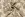 Hydrofiel stof - bloemen en vogels - taupe - 23266-054 - Hydrofiel stof - bloemen en vogels - taupe - 23266-054