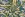 Stretch stof - camouflage - groen multi - 325042-11 - Stretch stof - camouflage - groen multi - 325042-11