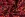 Stretch stof - graphic animals - rood - 22002-160 - Stretch stof - graphic animals - rood - 22002-160