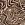 Stretch stof - zebraprint brush - zand - 22003-520 - Stretch stof - zebraprint brush - zand - 22003-520