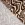 Stretch stof - zebraprint brush - zand - 22003-520 - Stretch stof - zebraprint brush - zand - 22003-520