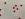 Ribcord stof - sterren - gebroken wit - 875012-21 - Ribcord stof - sterren - gebroken wit - 875012-21
