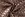 Doorgestikte stof - quilted poly creased - brons - 22763-760 - Doorgestikte stof - quilted poly creased - brons - 22763-760