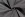 Canvas stof - grijs - 4795-063 - Canvas stof - grijs - 4795-063
