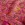 Katoen stof - batik - voile - bloemen - roze - 23386-014 - Katoen stof - batik - voile - bloemen - roze - 23386-014