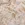 Suèdine - Scuba-Wildleder - Folien-Zebra-Druck - Sand - 22827-520 - Suèdine - Scuba-Wildleder - Folien-Zebra-Druck - Sand - 22827-520