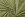 Waterafstotende stof - trenchcoatstof - bosgroen - 34/794112-764 - Waterafstotende stof - trenchcoatstof - bosgroen - 34/794112-764