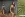 Waterafstotende stof - trenchcoatstof - bosgroen - 34/794112-764 - Waterafstotende stof - trenchcoatstof - bosgroen - 34/794112-764