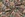 Polyester stof - gobelin - bloemen - multi - 22212-999 - Polyester stof - gobelin - bloemen - multi - 22212-999