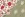 Doorgestikte stof - mousseline gewatteerd - 2-zijdig - bloemen - kaki - 23281-027 - Doorgestikte stof - mousseline gewatteerd - 2-zijdig - bloemen - kaki - 23281-027
