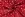 Kerststof - katoen poplin - folie kerstbomen - rood - 22700-015 - Kerststof - katoen poplin - folie kerstbomen - rood - 22700-015