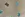 Gebreide stof - boucle - letters geborduurd - donkerbeige - 2/47085-540 - Gebreide stof - boucle - letters geborduurd - donkerbeige - 2/47085-540