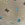 Gebreide stof - boucle - letters geborduurd - donkerbeige - 2/47085-540 - Gebreide stof - boucle - letters geborduurd - donkerbeige - 2/47085-540