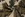 Tricot stof - punta di roma - abstract - beige - 31/24051-152 - Tricot stof - punta di roma - abstract - beige - 31/24051-152