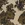 Tricot stof - punta di roma - abstract - beige - 31/24051-152 - Tricot stof - punta di roma - abstract - beige - 31/24051-152