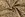 Suèdine stof - suède wildleer - bloemen - camel - 31/24120-053 - Suèdine stof - suède wildleer - bloemen - camel - 31/24120-053