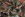 Viscose stof - jacquard - digitale print - multi - 29000-001 - Viscose stof - jacquard - digitale print - multi - 29000-001 