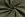 Kerststof - katoen poplin - folie kerststerren - groen - 20748-027 - Kerststof - katoen poplin - folie kerststerren - groen - 20748-027