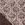 Kant stof - foil lace - bruin - 22412-100 - Kant stof - foil lace - bruin - 22412-100