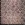 Kant stof - foil lace - bruin - 22412-100 - Kant stof - foil lace - bruin - 22412-100
