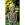 Badstof - rekbare badstof - checks - groen - 3297-001 - Badstof - rekbare badstof - checks - groen - 3297-001