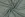 Hydrofiel stof - hartjes - groen - 3166-003 - Hydrofiel stof - hartjes - groen - 3166-003