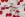 Katoen met coating - kersen - gebroken wit - 5943-002 - Katoen met coating - kersen - gebroken wit - 5943-002