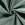 Ribcord stof - corduroy 4.5W - oudgroen - 3044-021 - Ribcord stof - corduroy 4.5W - oudgroen - 3044-021