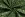 Kerststof - katoen poplin - folie kerststerren - groen - 20708-025 - Kerststof - katoen poplin - folie kerststerren - groen - 20708-025