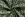 Kerststof - katoen poplin - diverse kerstornamenten - groen - 20727-025 - Kerststof - katoen poplin - diverse kerstornamenten - groen - 20727-025