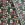 Kerststof - katoen poplin - folie kerst patchwork - groen - 20737-025 - Kerststof - katoen poplin - folie kerst patchwork - groen - 20737-025