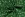Kerststof - katoen poplin - folie herten - groen - 22702-025 - Kerststof - katoen poplin - folie herten - groen - 22702-025
