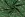 Kerststof - katoen poplin - folie diverse kerstmotieven - groen - 22703-025 - Kerststof - katoen poplin - folie diverse kerstmotieven - groen - 22703-025