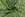 Kerststof - katoen poplin - folie diverse kerstmotieven - groen - 22704-025 - Kerststof - katoen poplin - folie diverse kerstmotieven - groen - 22704-025