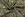Kerststof - katoen poplin - folie kerststerren - groen - 22723-028 - Kerststof - katoen poplin - folie kerststerren - groen - 22723-028