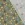 Kerststof - katoen poplin - folie kerststerren - groen - 22723-028 - Kerststof - katoen poplin - folie kerststerren - groen - 22723-028