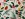 Weihnachtsstoff – Textur – Stechpalme & Tannenzapfen – weiß – 6796-1 - Weihnachtsstoff – Textur – Stechpalme & Tannenzapfen – weiß – 6796-1