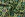 Doorgestikte stof - quilted chally - royal - 11658-975 - Doorgestikte stof - quilted chally - royal - 11658-975