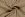 Hydrofiel stof - dobby stippen - camel - 23238-053 - Hydrofiel stof - dobby stippen - camel - 23238-053