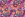 Tricot stof - French Terry - luipaardprint - fuchsia - 20125-170 - Tricot stof - French Terry - luipaardprint - fuchsia - 20125-170
