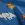 Tricot stof - wilde dieren - kobalt - 23650-005 - Tricot stof - wilde dieren - kobalt - 23650-005
