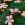 Tricot stof - French Terry - digitaal bladeren en bloemetjes - donkergroen - 22407-028 - Tricot stof - French Terry - digitaal bladeren en bloemetjes - donkergroen - 22407-028