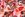 Viscose stof - polyamidemix - digitaal fantasie bloemen - rood - 22624-440 - Viscose stof - polyamidemix - digitaal fantasie bloemen - rood - 22624-440
