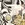 Viscose stof - polyamidemix - digitaal fantasie bloemen - grijs - 22624-970 - Viscose stof - polyamidemix - digitaal fantasie bloemen - grijs - 22624-970