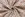Katoenen stof - poplin - bloemetjes - gebroken wit - 27/25615-051 - Katoenen stof - poplin - bloemetjes - gebroken wit - 27/25615-051