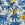 Mousseline stof - palmbomen - kobaltblauw-gebroken wit - 25377-051 - Mousseline stof - palmbomen - kobaltblauw-gebroken wit - 25377-051